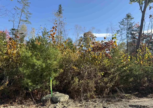 Photo 3 of Land for sale at Lot 25 Hartco Ave, Lancaster, NH 03584 | MLS# 5065682 | Listing updated on 2026-07-30