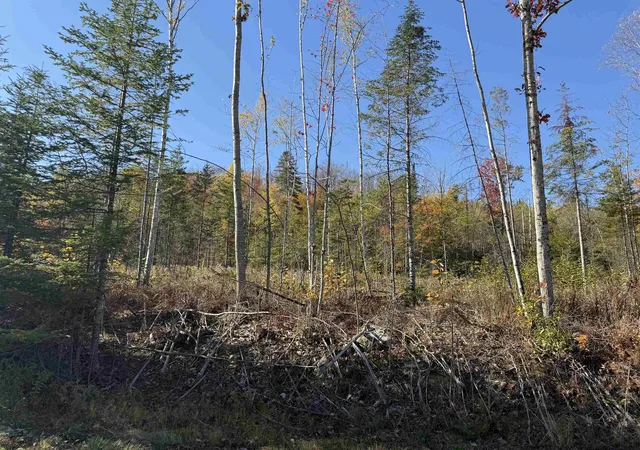 2nd image of Lot 24 Hartco Ave, Lancaster, NH 03584 | MLS# 5065694