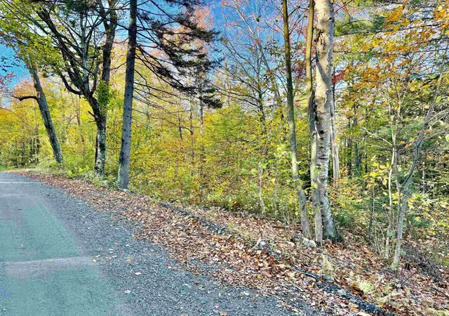 Homes for sale in Wardsboro, VT | 0 Townshend Dam Rd, Wardsboro, VT 05355 | MLS# 5066172
