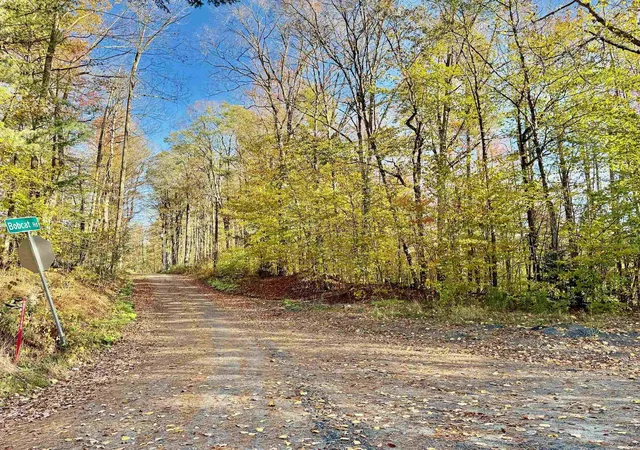 Homes for sale in Wardsboro, VT | 0 Townshend Dam Rd, Wardsboro, VT 05355 | MLS# 5066172