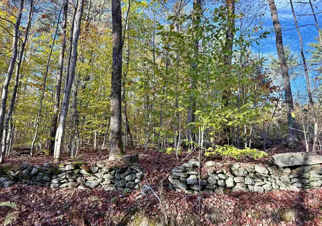 Homes for sale in Wardsboro, VT | 0 Townshend Dam Rd, Wardsboro, VT 05355 | MLS# 5066172