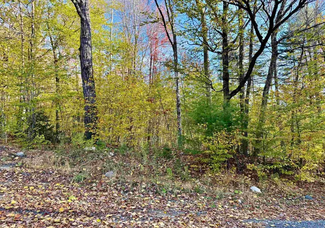 Homes for sale in Wardsboro, VT | 0 Townshend Dam Rd, Wardsboro, VT 05355 | MLS# 5066172