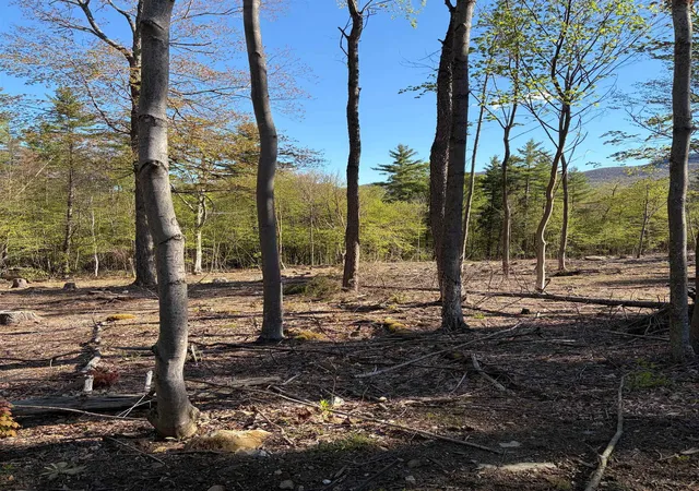 Homes for sale in Dorset, VT | Lot A Frost Pond Rd, Dorset, VT 05251 | MLS# 5067701