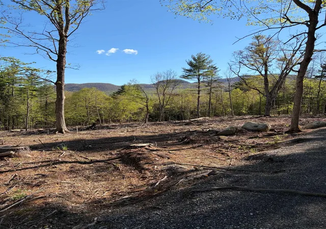 Homes for sale in Dorset, VT | Lot A Frost Pond Rd, Dorset, VT 05251 | MLS# 5067701