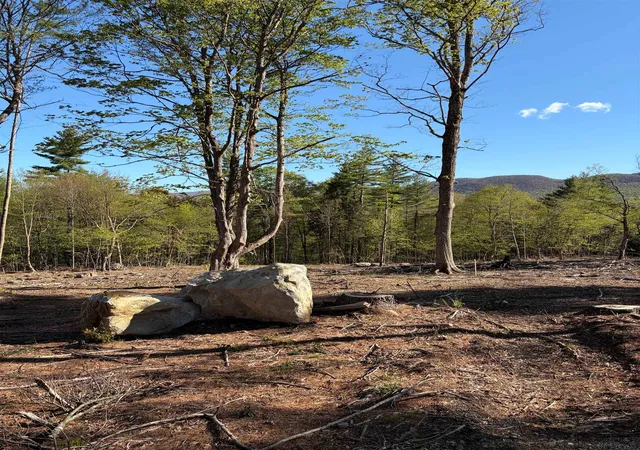 Homes for sale in Dorset, VT | Lot B Frost Pond Rd, Dorset, VT 05251 | MLS# 5067704
