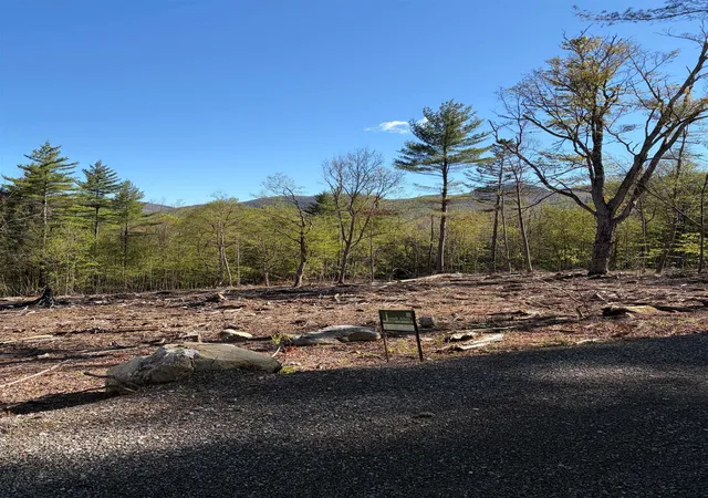 Homes for sale in Dorset, VT | Lot B Frost Pond Rd, Dorset, VT 05251 | MLS# 5067704