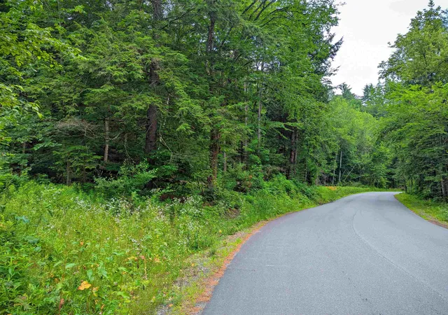 Homes for sale in Springfield, VT | 341 Seavers Brook Rd, Springfield, VT 05156 | MLS# 5067797