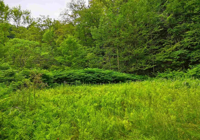 Homes for sale in Springfield, VT | 341 Seavers Brook Rd, Springfield, VT 05156 | MLS# 5067797