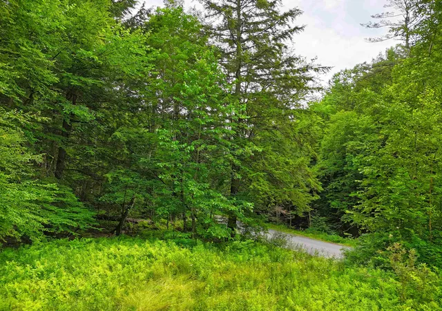 Homes for sale in Springfield, VT | 341 Seavers Brook Rd, Springfield, VT 05156 | MLS# 5067797