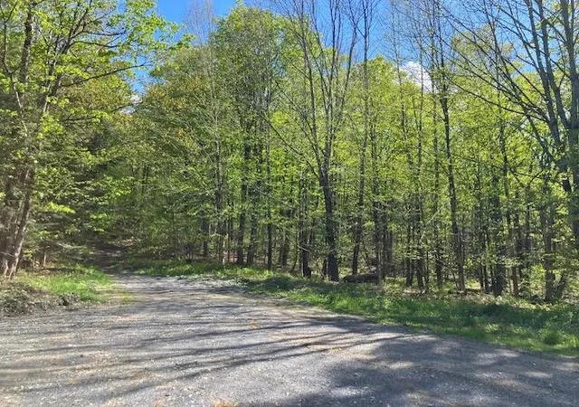 Homes for sale in Readsboro, VT | 00 Bill T Dr, Readsboro, VT 05350 | MLS# 5068152
