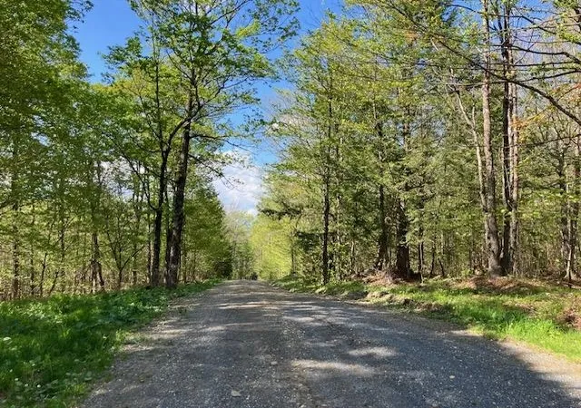 Homes for sale in Readsboro, VT | 00 Bill T Dr, Readsboro, VT 05350 | MLS# 5068152