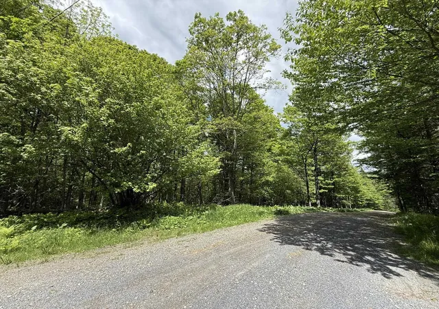 Homes for sale in Readsboro, VT | 00 Bill T Dr, Readsboro, VT 05350 | MLS# 5068152