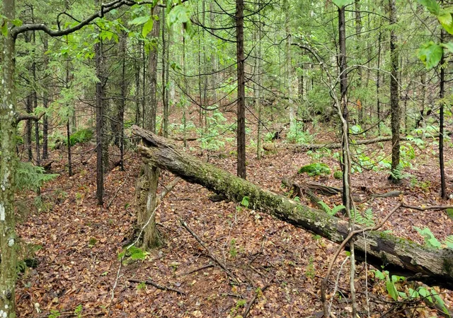 Photo 2 of Land for sale at 00 Heartwellville View Rd, Readsboro, VT 05350 | MLS# 5068956 | Listing updated on 2026-08-18