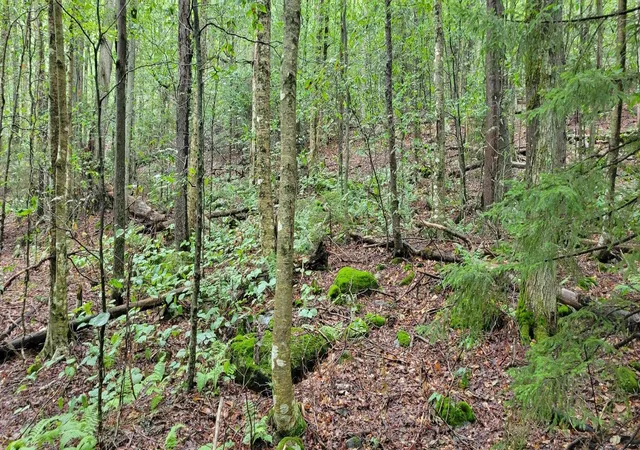 Photo 3 of Land for sale at 00 Heartwellville View Rd, Readsboro, VT 05350 | MLS# 5068956 | Listing updated on 2026-08-18
