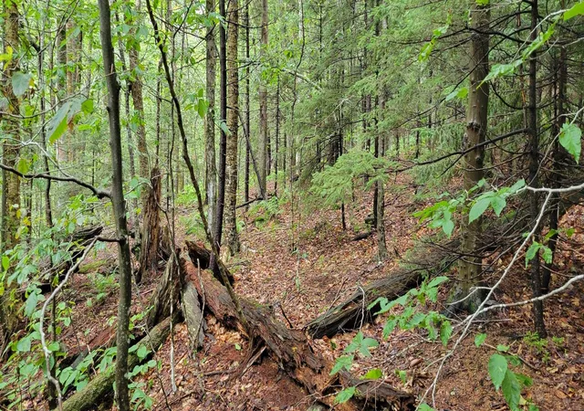 Photo 3 of Land for sale at 00 Heartwellville View Rd, Readsboro, VT 05350 | MLS# 5068956 | Listing updated on 2026-08-18