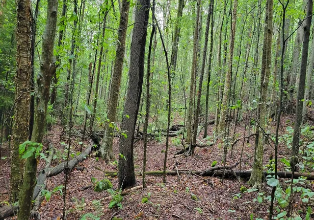 Photo 4 of Land for sale at 00 Heartwellville View Rd, Readsboro, VT 05350 | MLS# 5068956 | Listing updated on 2026-08-18