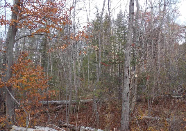 Photo 3 of Land for sale at Lot 49 Mittenwald Strasse Rd, Glen, NH 03838 | MLS# 5069007 | Listing updated on 2026-09-15