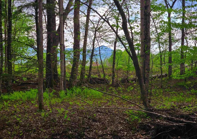 5th image of 167 High Meadow Rd, Stowe, VT 05672 | MLS# 5069628