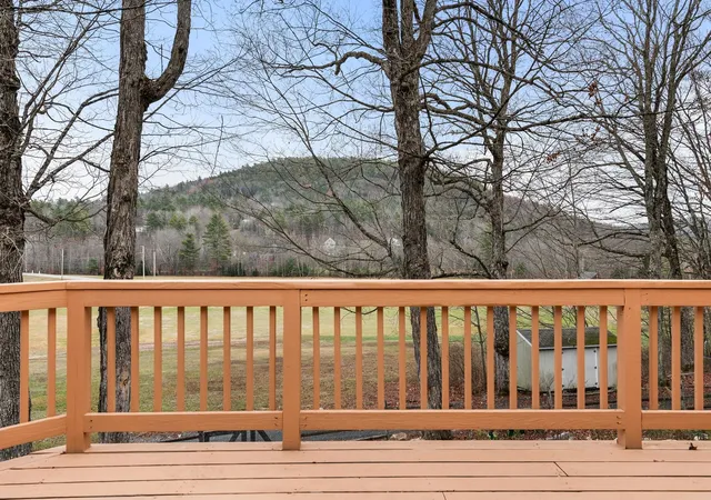 Homes for sale in Grantham, NH | 119 Shedd Rd, Grantham, NH 03753 | MLS# 5069671