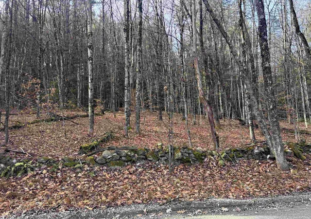Homes for sale in Putney, VT | 00 East Putney Brook Rd, Putney, VT 05346 | MLS# 5069818