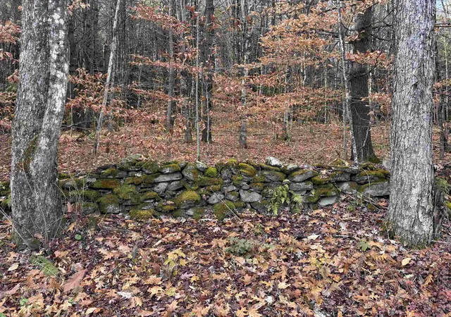 Homes for sale in Putney, VT | 00 East Putney Brook Rd, Putney, VT 05346 | MLS# 5069818