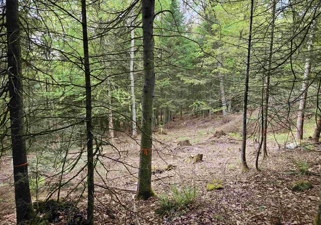 Homes for sale in Lyman, NH | 35 Langway Rd, Lyman, NH 03585 | MLS# 5069884