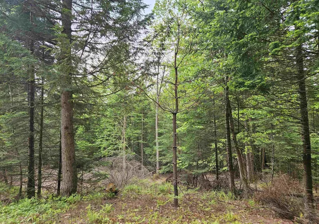 Homes for sale in Lyman, NH | 35 Langway Rd, Lyman, NH 03585 | MLS# 5069884