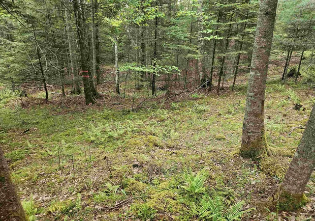 Homes for sale in Lyman, NH | 35 Langway Rd, Lyman, NH 03585 | MLS# 5069884