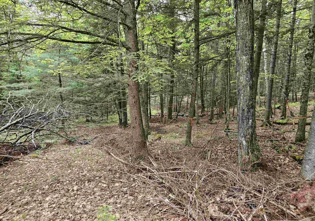 Homes for sale in Lyman, NH | 35 Langway Rd, Lyman, NH 03585 | MLS# 5069884