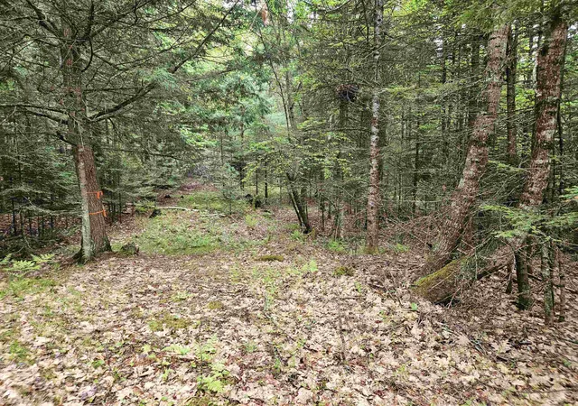 Homes for sale in Lyman, NH | 35 Langway Rd, Lyman, NH 03585 | MLS# 5069884