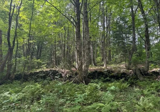 60th image of 190 Upper Edsall Rd, Greensboro, VT 05841 | MLS# 5069954