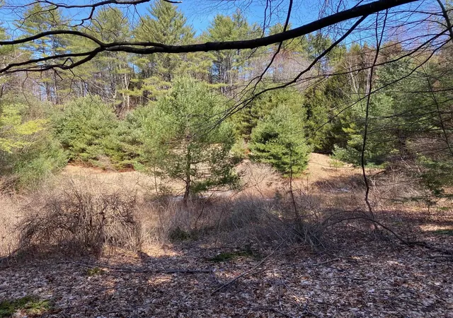 Homes for sale in Weathersfield, VT | 1254 Us Route 5, Weathersfield, VT 05156 | MLS# 5070225