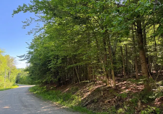 Homes for sale in Peru, VT | 311 Beechwood Ln, Peru, VT 05152 | MLS# 5070443