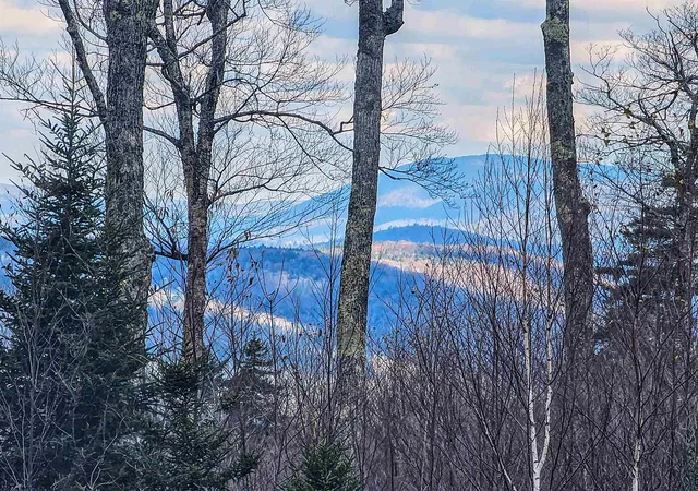 Homes for sale in Stratton, VT | 706 Vt Route 100, Stratton, VT 05360 | MLS# 5070588