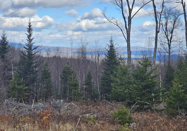 Homes for sale in Stratton, VT | 706 Vt Route 100, Stratton, VT 05360 | MLS# 5070588
