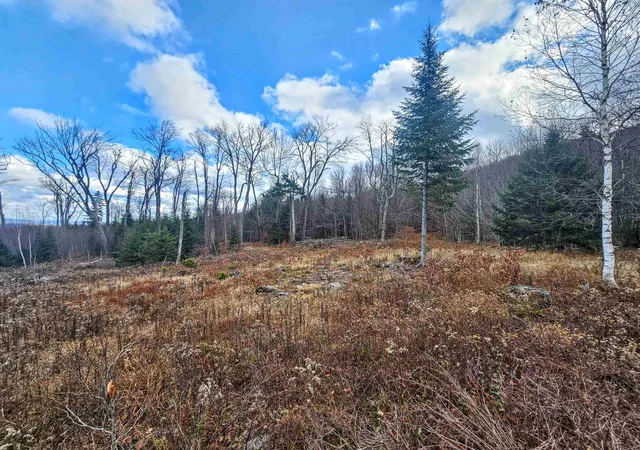 Homes for sale in Stratton, VT | 706 Vt Route 100, Stratton, VT 05360 | MLS# 5070588