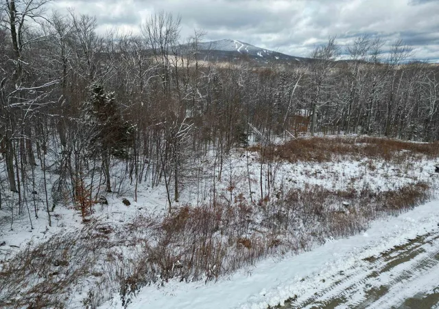 Homes for sale in Winhall, VT | 41 Moose Hollow Rd, Winhall, VT 05340 | MLS# 5070793