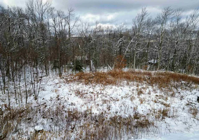 Homes for sale in Winhall, VT | 41 Moose Hollow Rd, Winhall, VT 05340 | MLS# 5070793
