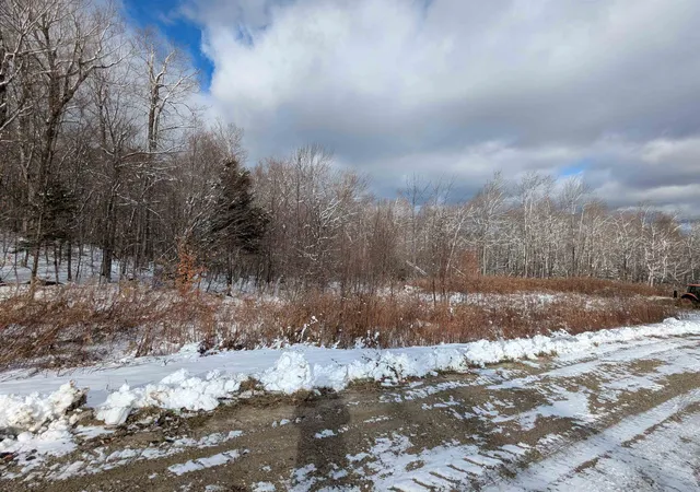 Homes for sale in Winhall, VT | 41 Moose Hollow Rd, Winhall, VT 05340 | MLS# 5070793