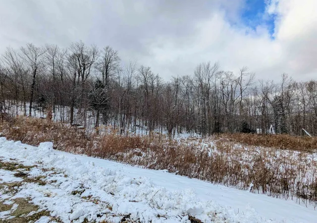 Homes for sale in Winhall, VT | 41 Moose Hollow Rd, Winhall, VT 05340 | MLS# 5070793