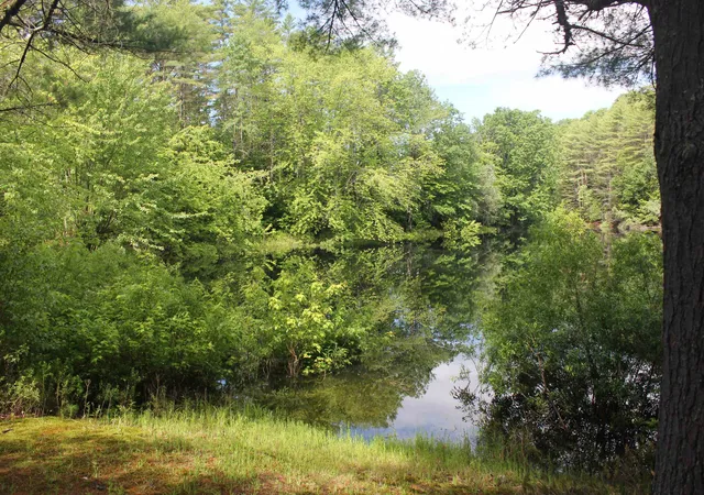 32nd image of 00 Woodland Wy, Plymouth, NH 03264 | MLS# 5071527