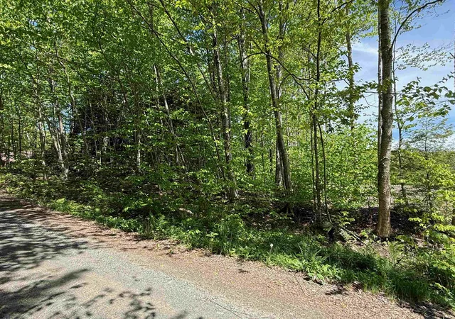 Homes for sale in Wilmington, VT | Lot 2   162 High Peak Way, Wilmington, VT 05363 | MLS# 5071834