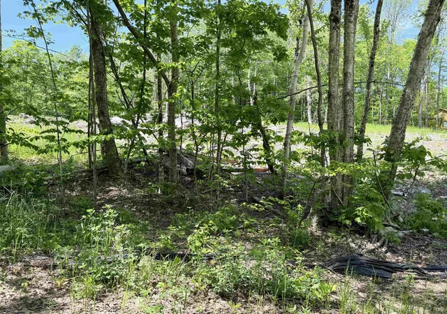 Homes for sale in Wilmington, VT | Lot 3 158/160 High Peak Way, Wilmington, VT 05363 | MLS# 5071838