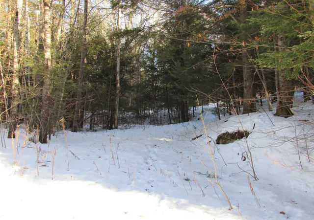 Homes for sale in Winhall, VT | 0 Lower Taylor Hill Rd, Winhall, VT 05340 | MLS# 5072280
