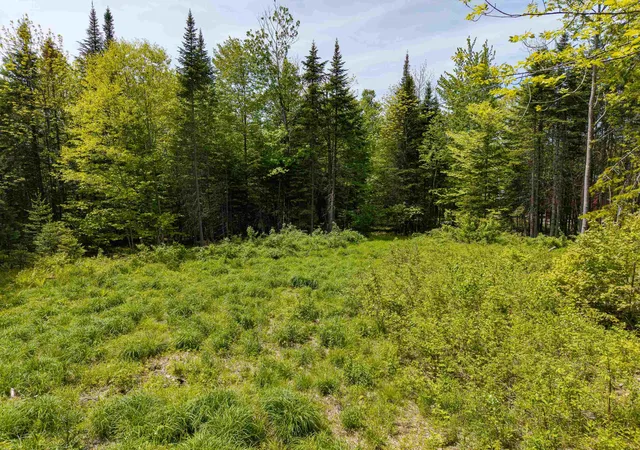 Homes for sale in Littleton, NH | 40 Bear Paw Trl, Littleton, NH 03561 | MLS# 5072369