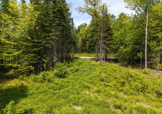 Homes for sale in Littleton, NH | 40 Bear Paw Trl, Littleton, NH 03561 | MLS# 5072369