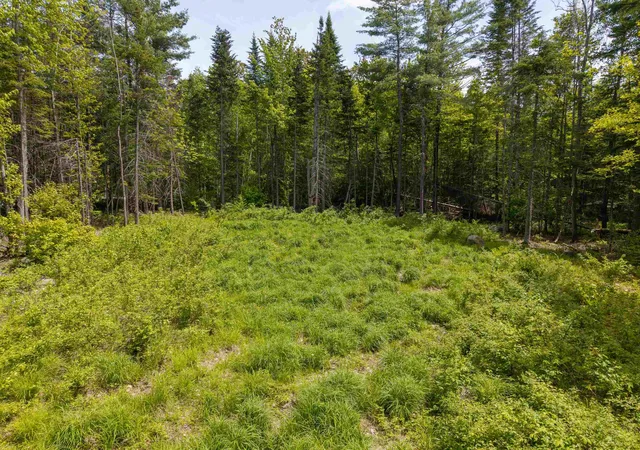 Homes for sale in Littleton, NH | 40 Bear Paw Trl, Littleton, NH 03561 | MLS# 5072369
