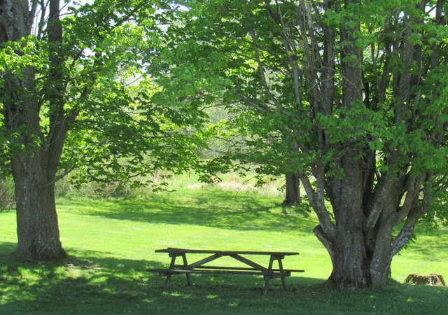 3rd image of 4472 14 North Rte, Irasburg, VT 05845 | MLS# 5072457