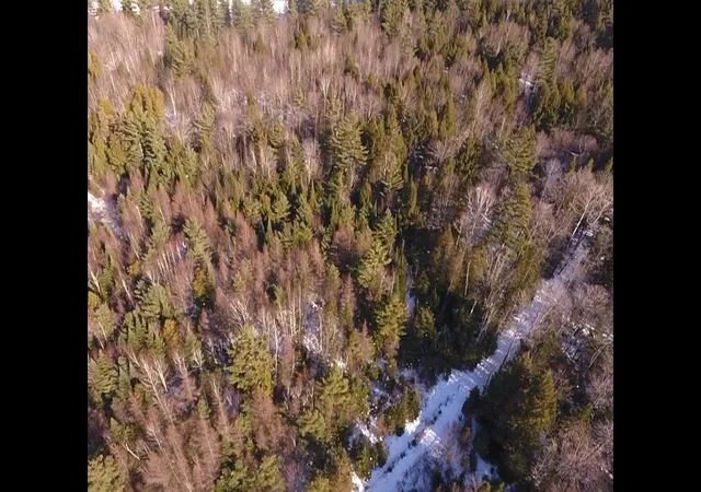 15th image of 0 Waterford Hollow Ln, Waterford, VT 05819 | MLS# 5072533