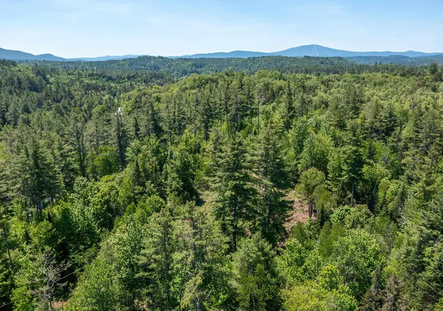 Homes for sale in Londonderry, VT | 0 Vt 100 Rte, Londonderry, VT 05148 | MLS# 5072614